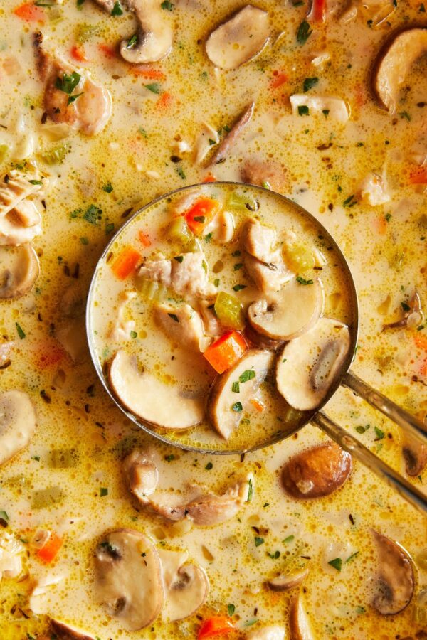 Creamy Chicken & Mushroom Soup